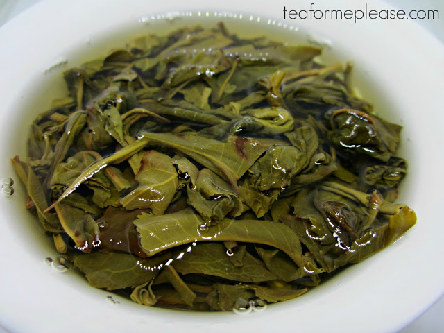 Bitterleaf Teas Year of the Monkey 2016 Spring Yiwu Raw Puer 3