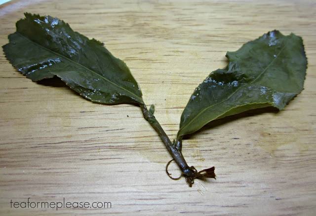 Eco-Cha Four Seasons Spring Oolong Tea 4