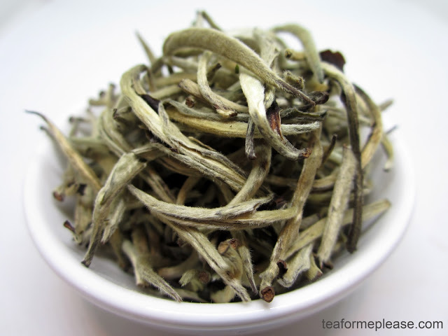 Silver Needle tea