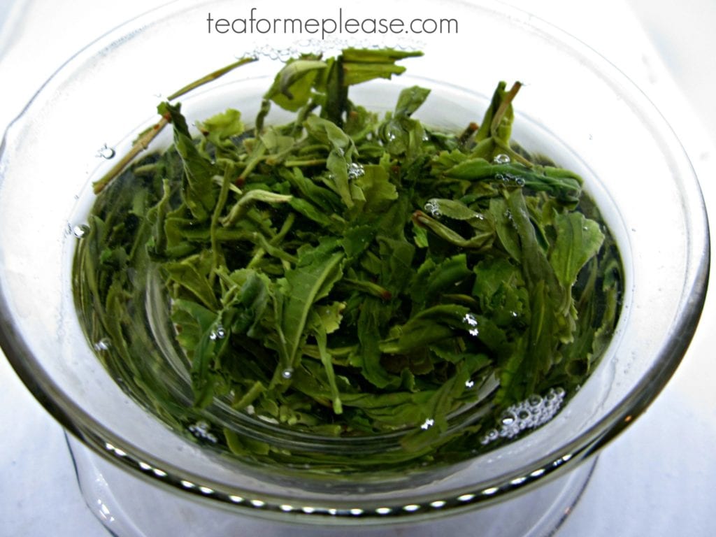 Korean green tea leaves in a gaiwan