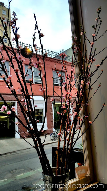 Flowers in tea shop window