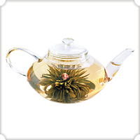 Numi Organic Tea Signature Glass Tea Pot