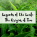 Origins of Tea