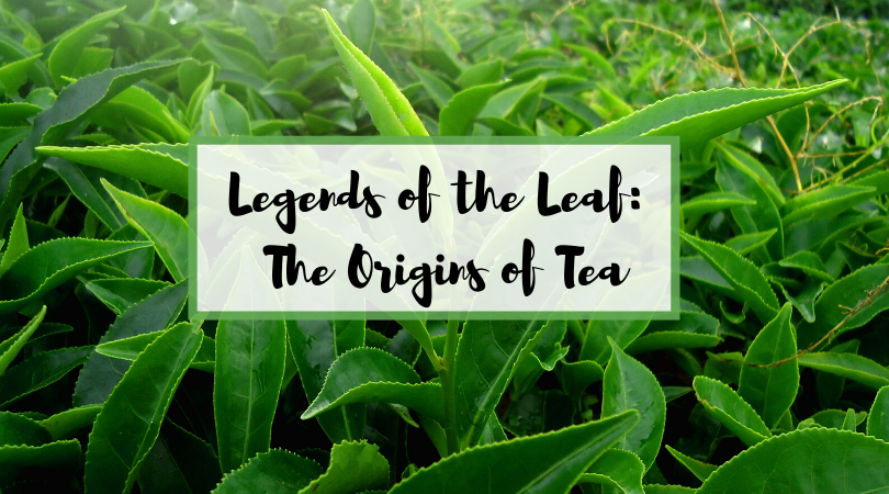 Legends of the Leaf: The Origin of Tea