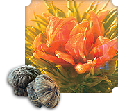 Numi Organic Tea Flowering Dragon Lily White Tea
