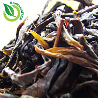 Wild Tea Qi Wild Snow Oolong