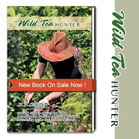Wild Tea Hunter by JT Hunter