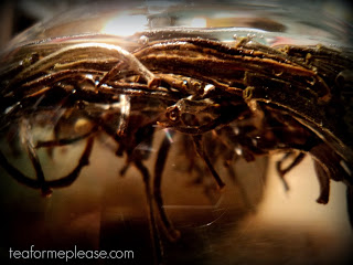 Teaneer Shining Arrows