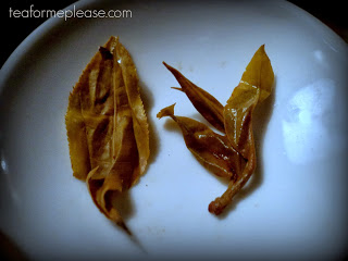 Jalam Teas Pulang Old Tree