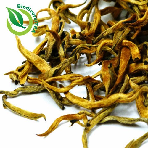 Wild Tea Qi Artisan Golden Tips