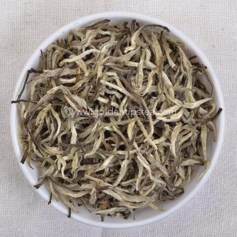 Golden Tips Teas Okayti Silver Needle Darjeeling White Tea Second Flush (Organic) 2014