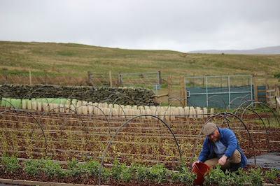 Scottish Afternoon Tea at The Lowell with Wee Tea Company 3