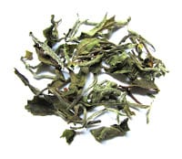 What-Cha Nepal 1st Flush 2014 Spring Buds White Tea