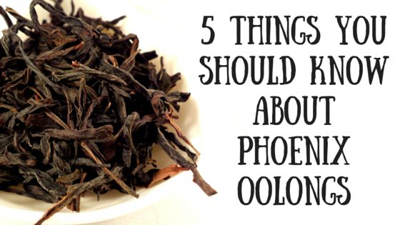 5 Things You Should Know About Phoenix Oolongs