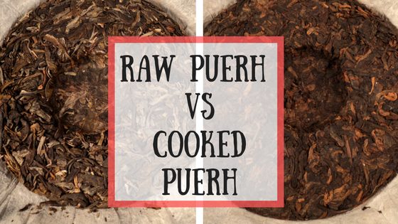 Raw Puerh vs Cooked Puerh