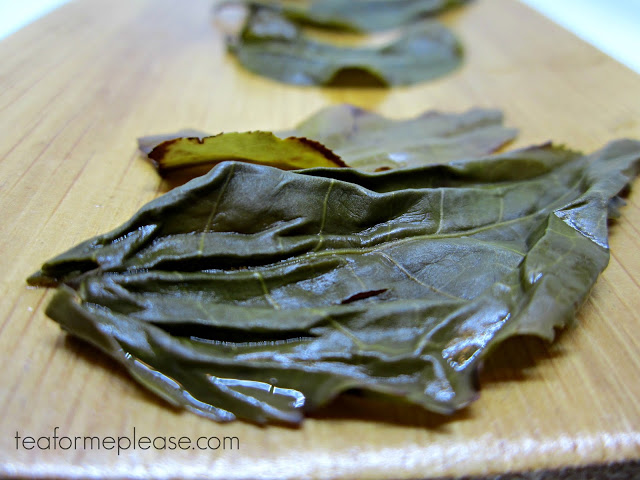 Bitterleaf Teas Year of the Monkey 2016 Spring Yiwu Raw Puer