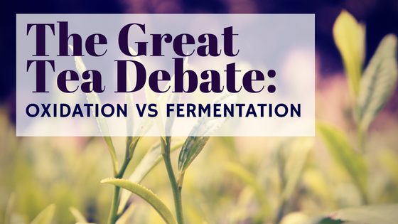 The Great Tea Debate: Oxidation vs Fermentation