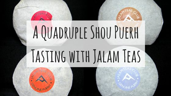 A Quadruple Shou Puerh Tasting with Jalam Teas