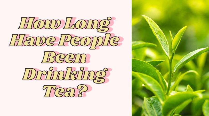 How Long Have People Been Drinking Tea?