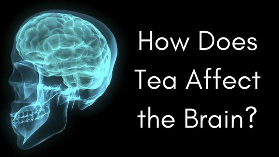 How Does Tea Affect the Brain?