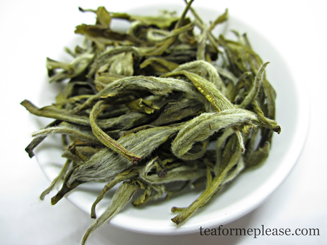 Adagio Teas Snowbud 1