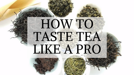 How to Taste Tea Like a Pro