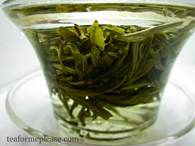 Adagio Teas Snowbud 2
