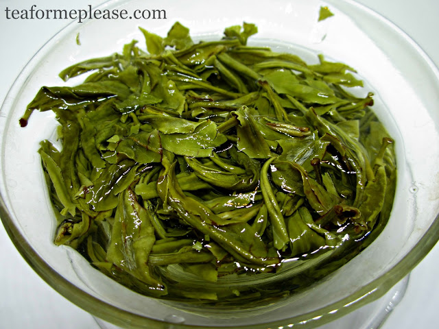 Adagio Teas Snowbud 3