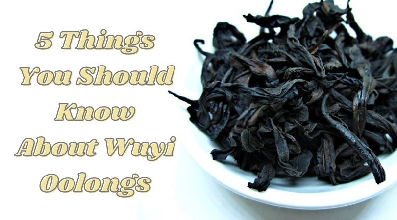 5 Things You Should Know About Wuyi Oolongs