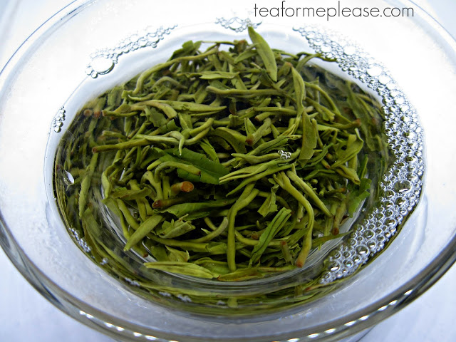 Exploring the Green Teas of Sichuan with Four Seasons Tea Co. 6