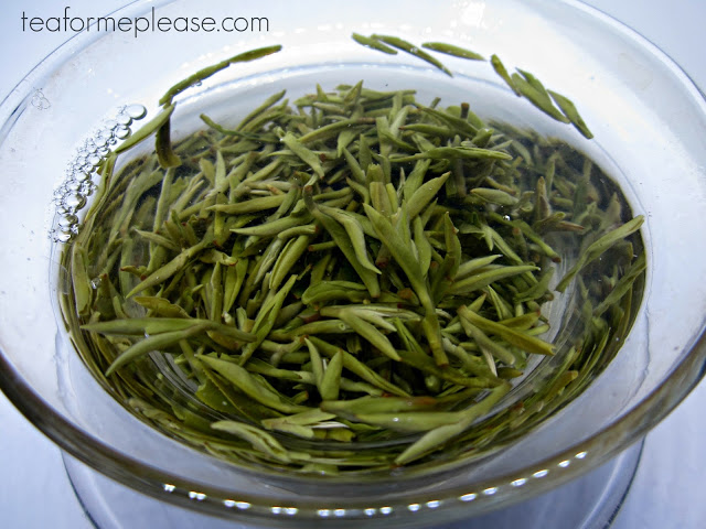 Exploring the Green Teas of Sichuan with Four Seasons Tea Co. 3