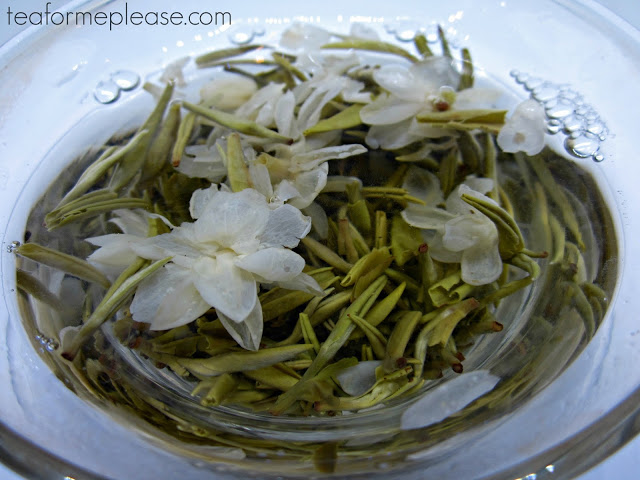 Exploring the Green Teas of Sichuan with Four Seasons Tea Co. 9