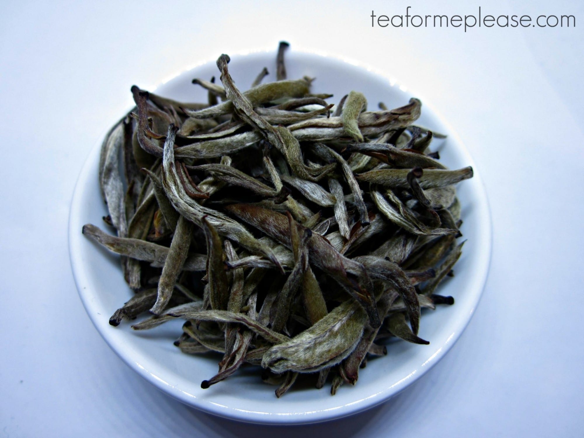 Upton Tea Imports Jinggu Spring Buds