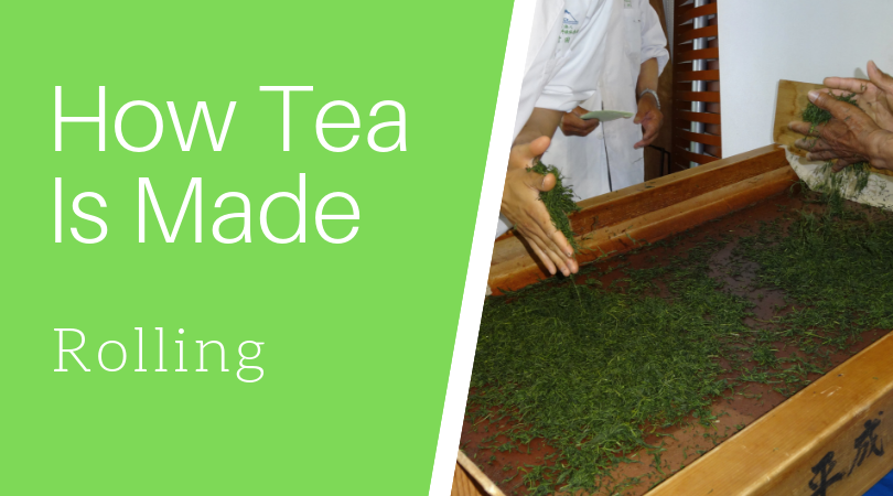 How Tea is Made: Rolling