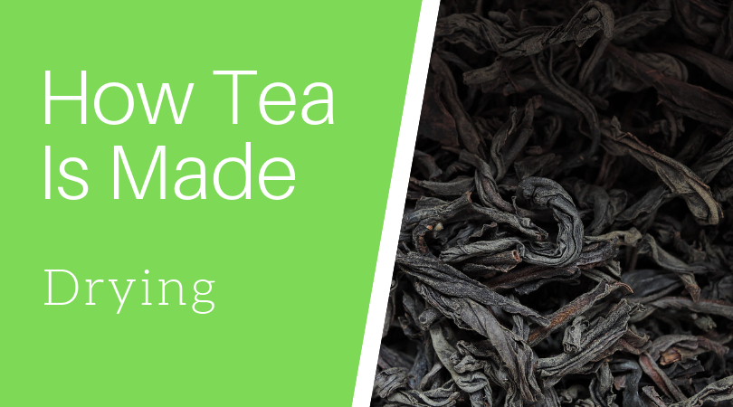How Tea Is Made: Drying