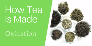 How Tea Is Made: Oxidation