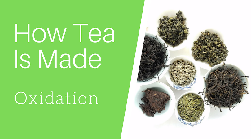 How Tea Is Made: Oxidation
