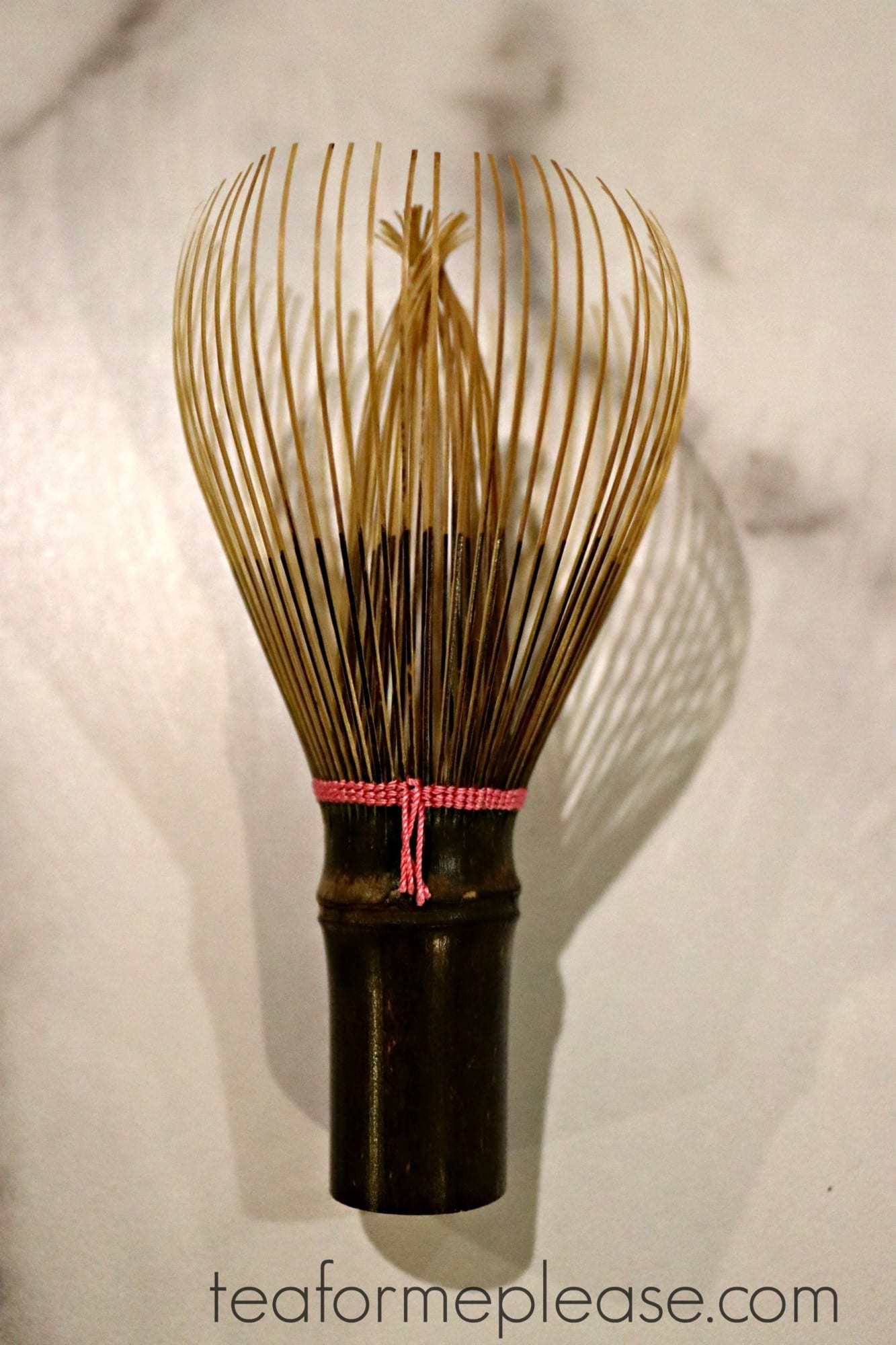 Tango Tanimura Chasen