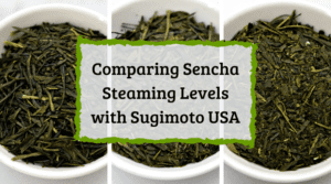 Comparing Sencha Steaming Levels with Sugimoto USA