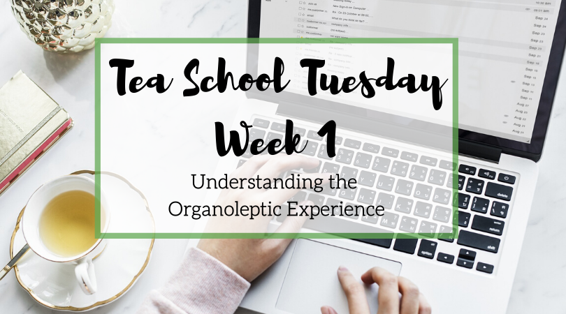 Tea School Tuesday – Understanding the Organoleptic Experience – Week 1