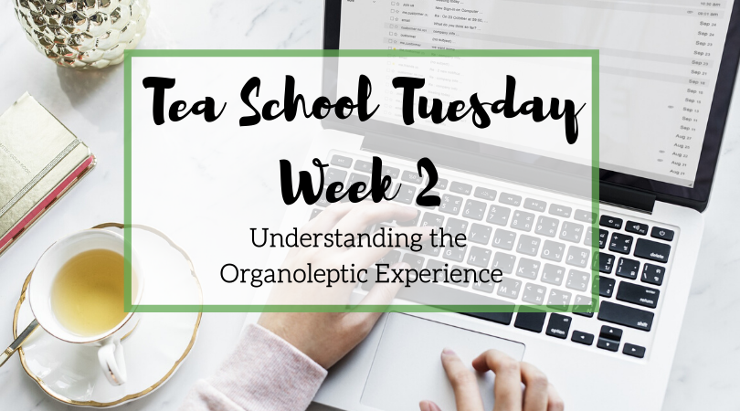Tea School Tuesday – Understanding the Organoleptic Experience – Week 2