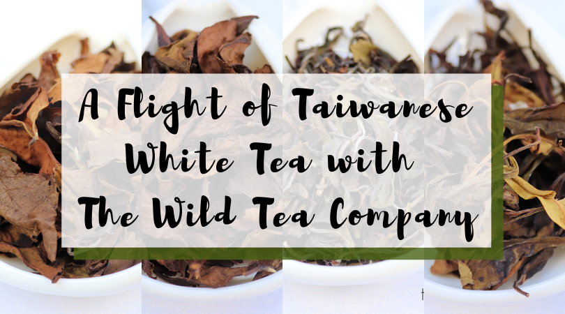 A Flight of Taiwanese White Tea with The Wild Tea Company