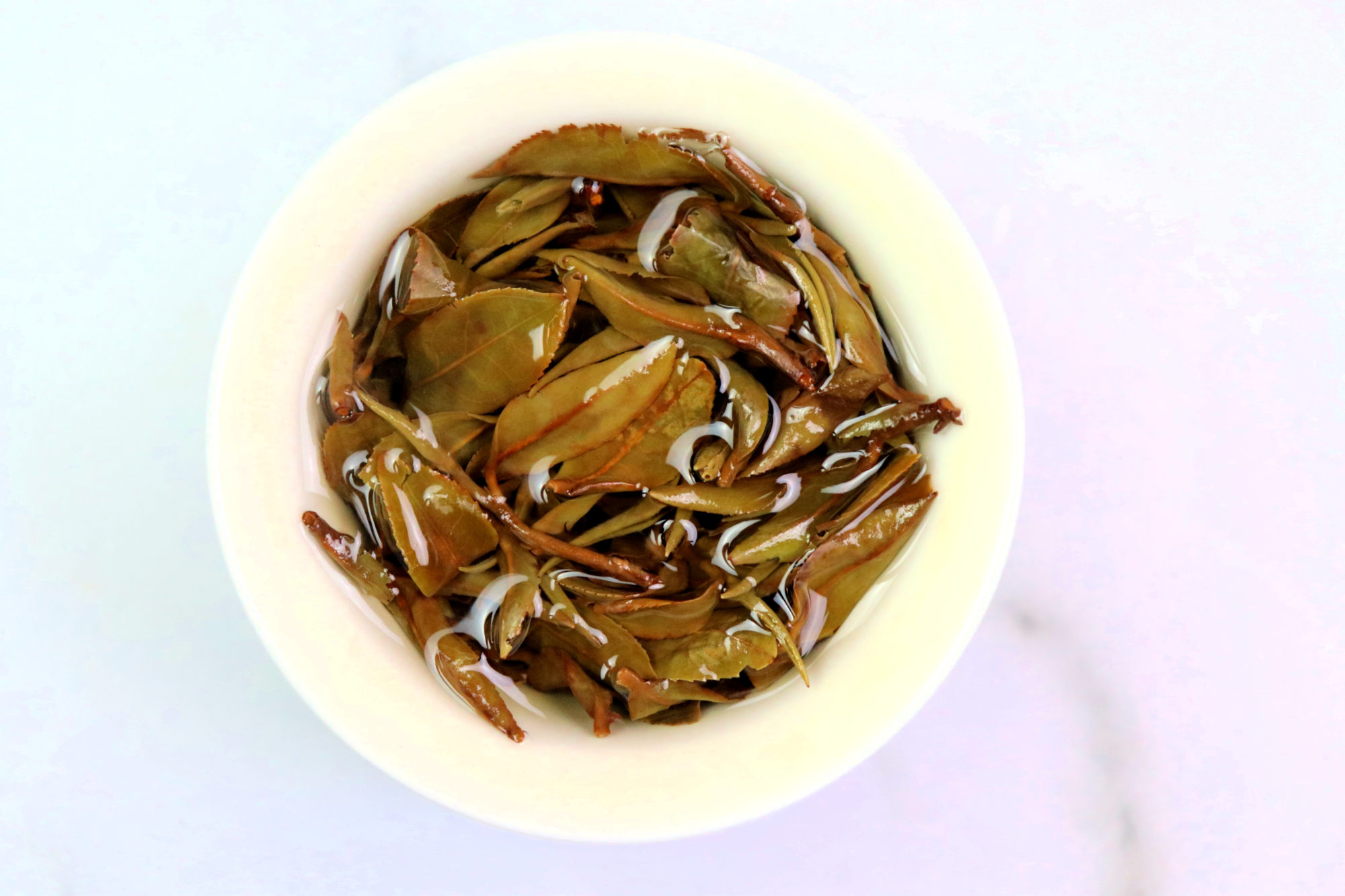 Oriental Beauty Avant-Garde leaves unfurled in a white gaiwan, white marble background