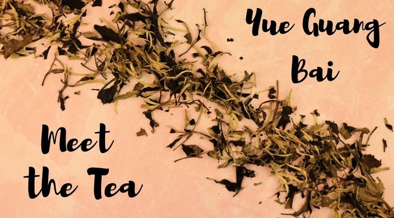 Meet the Tea: Yue Guang Bai (Moonlight White)