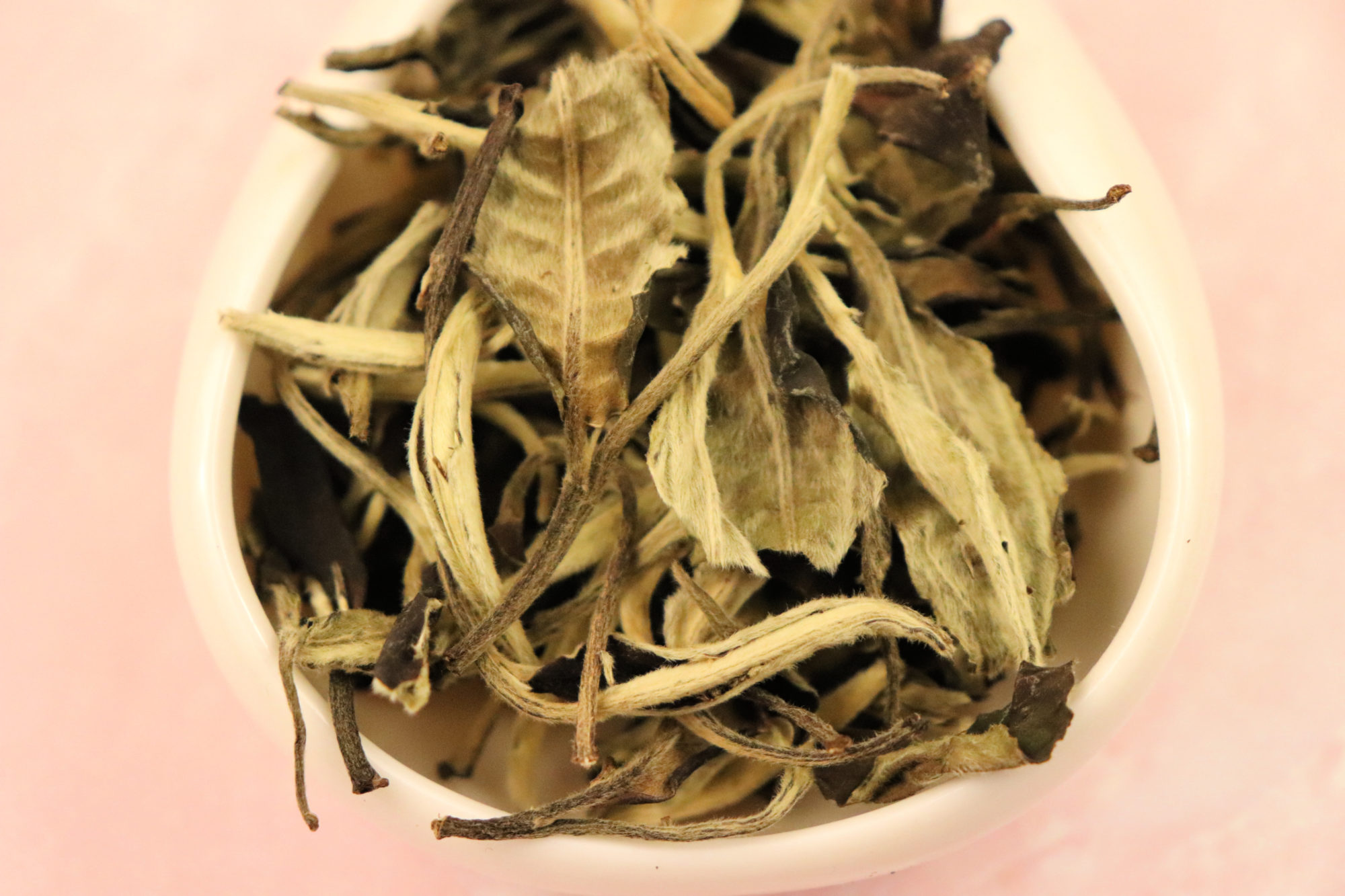 Yue Guang Bai - Moonlight White tea leaves