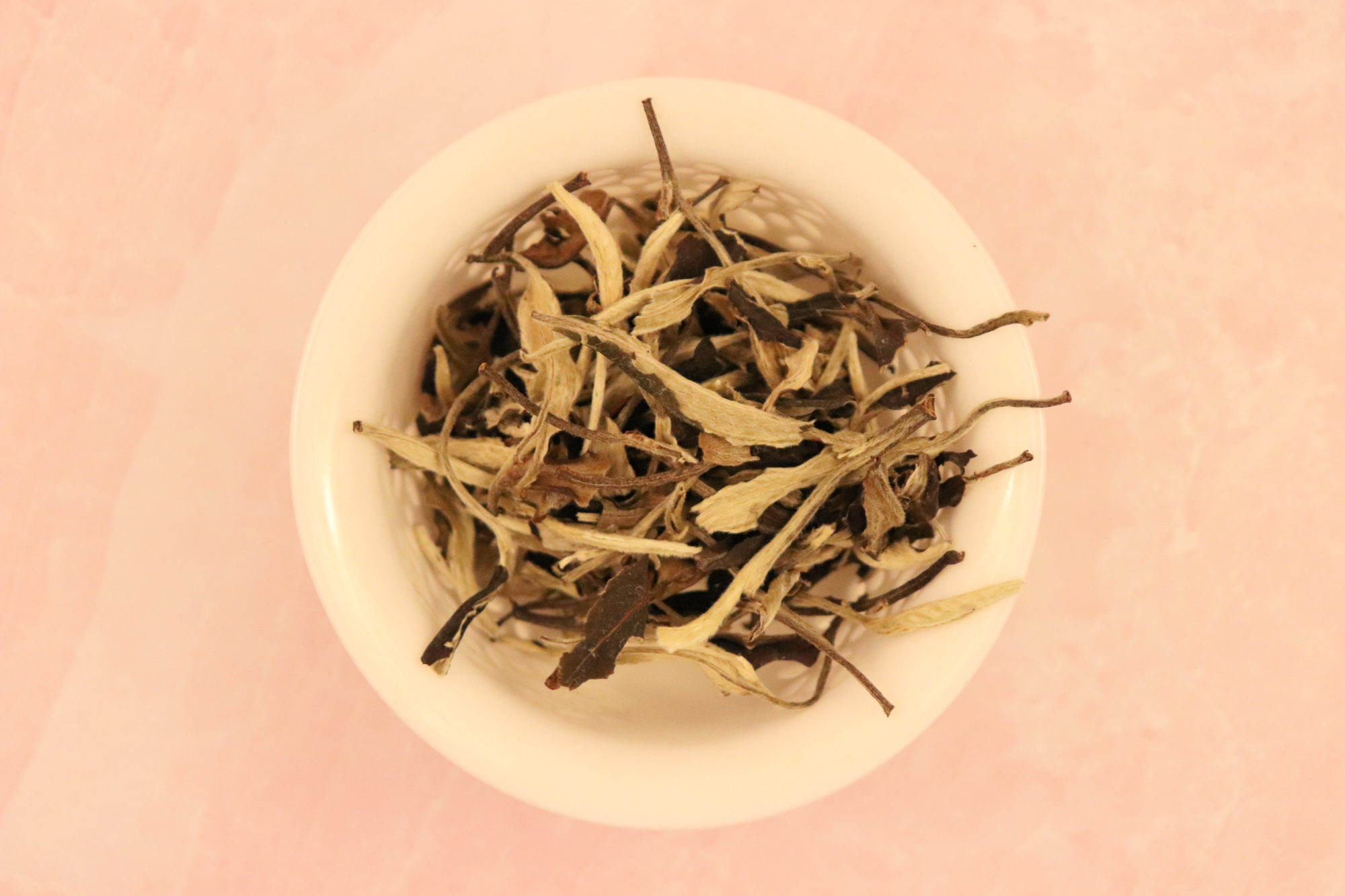 Moonlight White Tea leaves in a gaiwan