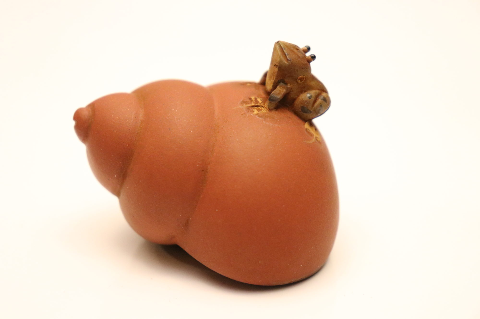 Frog on a snail shell tea pet