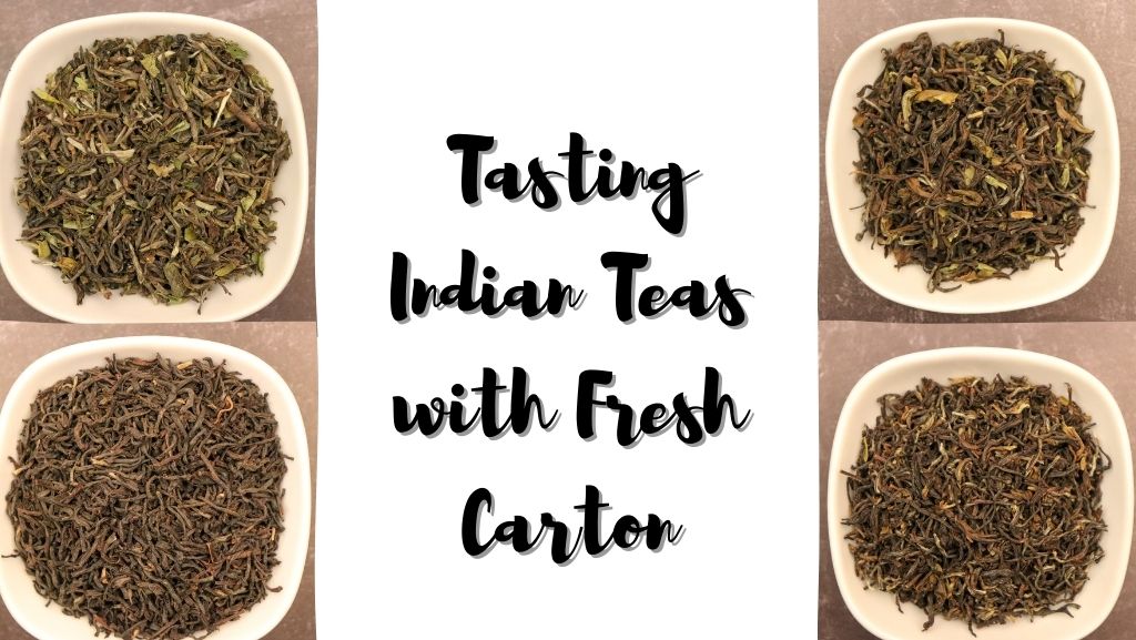 Tasting Indian Teas with Fresh Carton