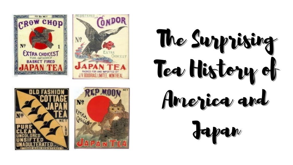 The Surprising Tea History of America and Japan