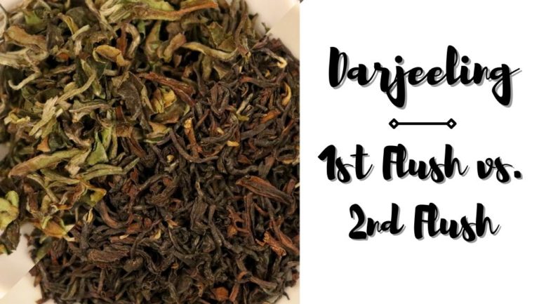 Darjeeling: 1st Flush vs. 2nd Flush